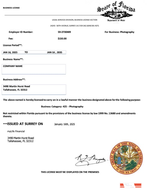 USA Florida business license Word and PDF template